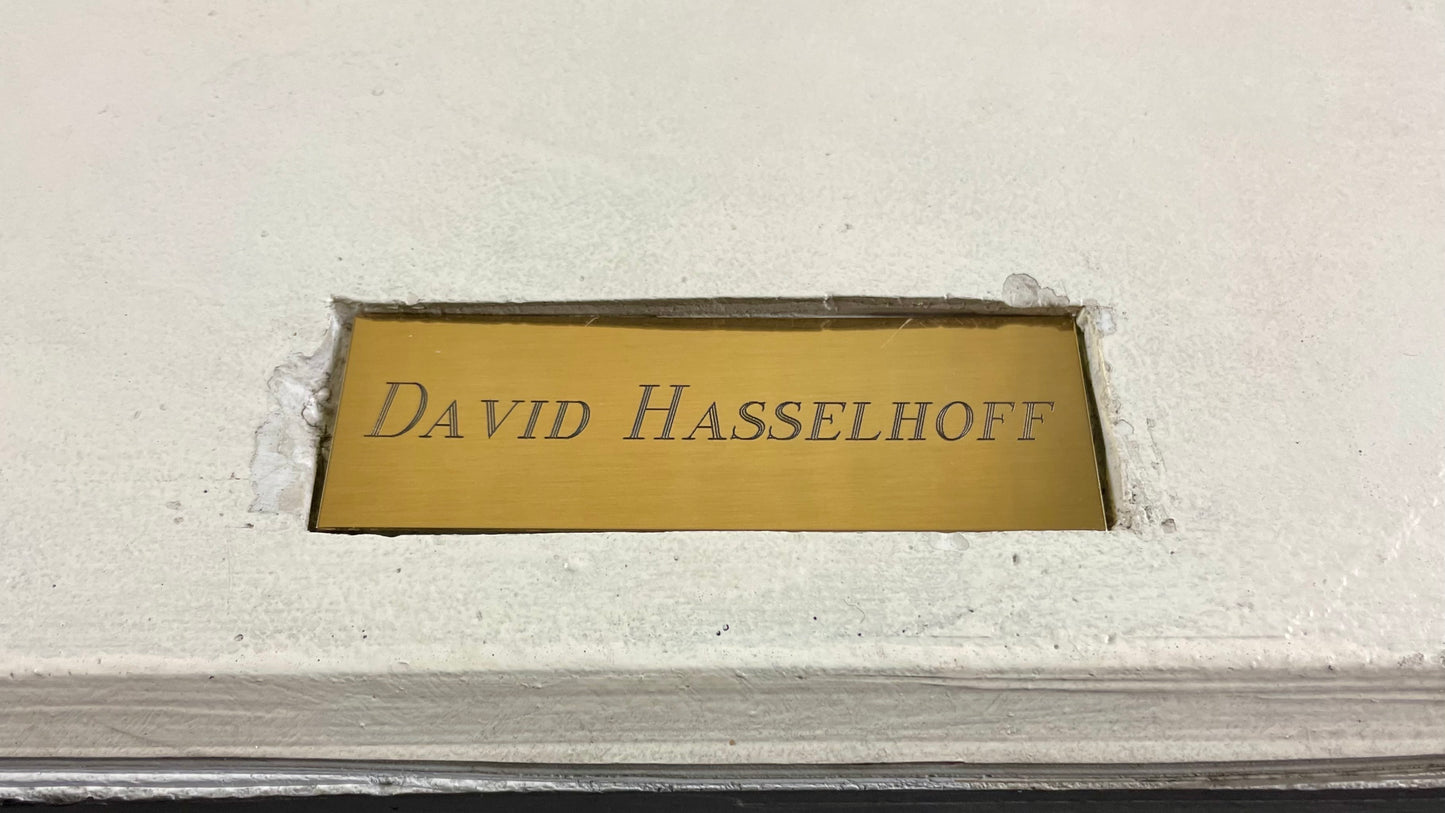 David Hasselhoff Celebrity Hand Cast