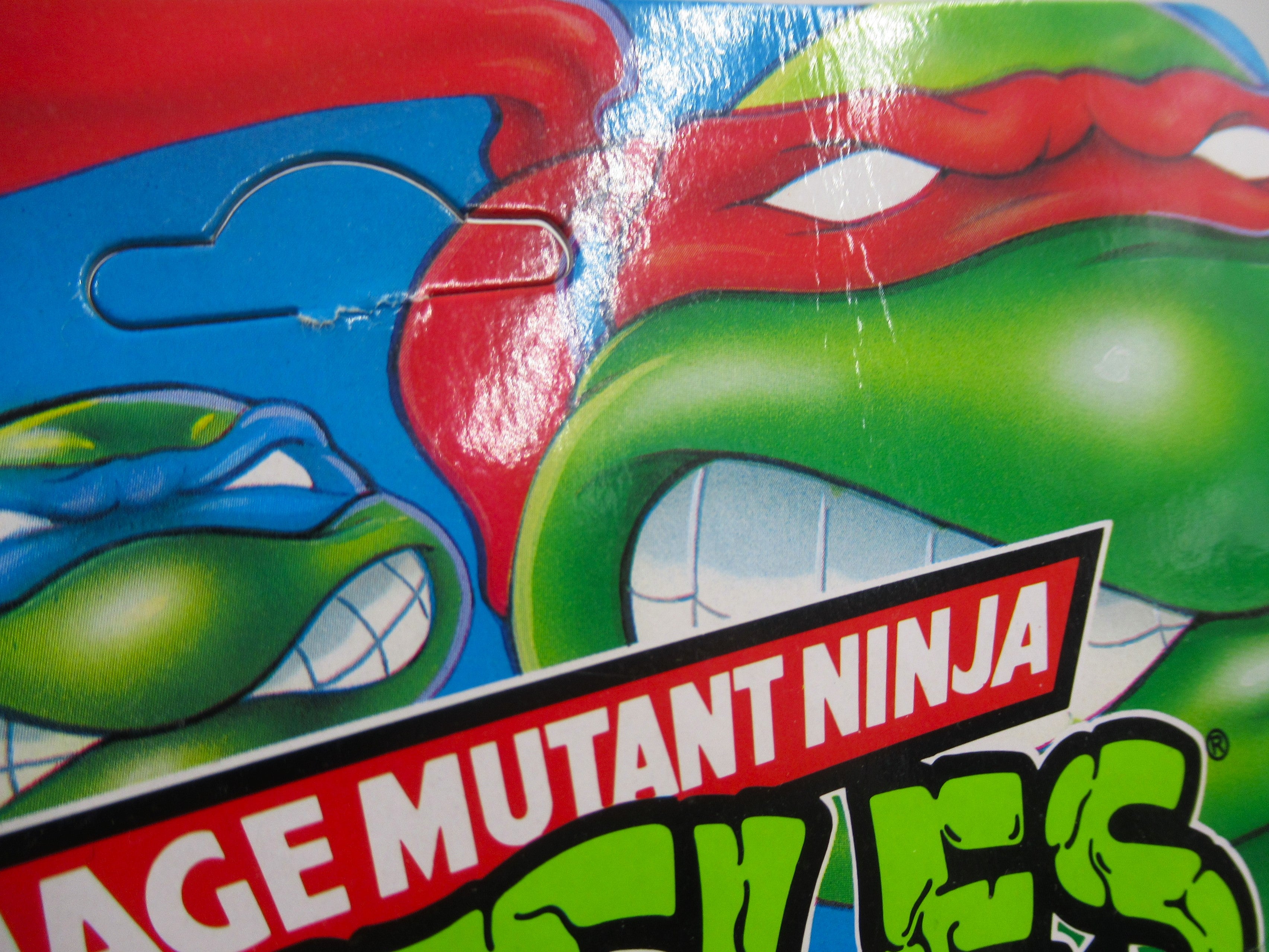 Teenage Mutant Ninja Turtles Mona Lisa 4.5