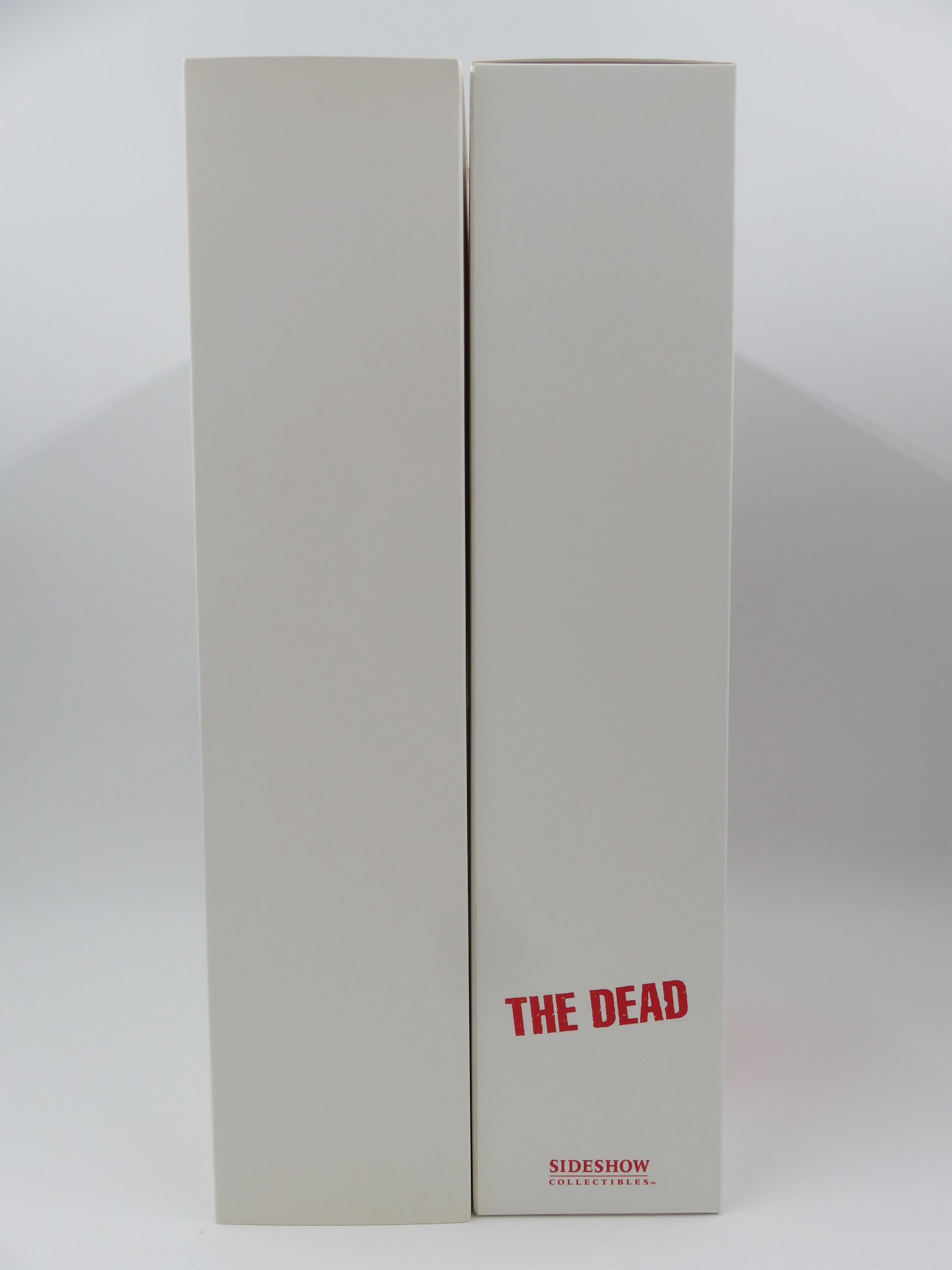 THE DEAD Subject 138 The Street Prophet Exclusive Figure - Sideshow Collectibles (2008) Horror Collectible