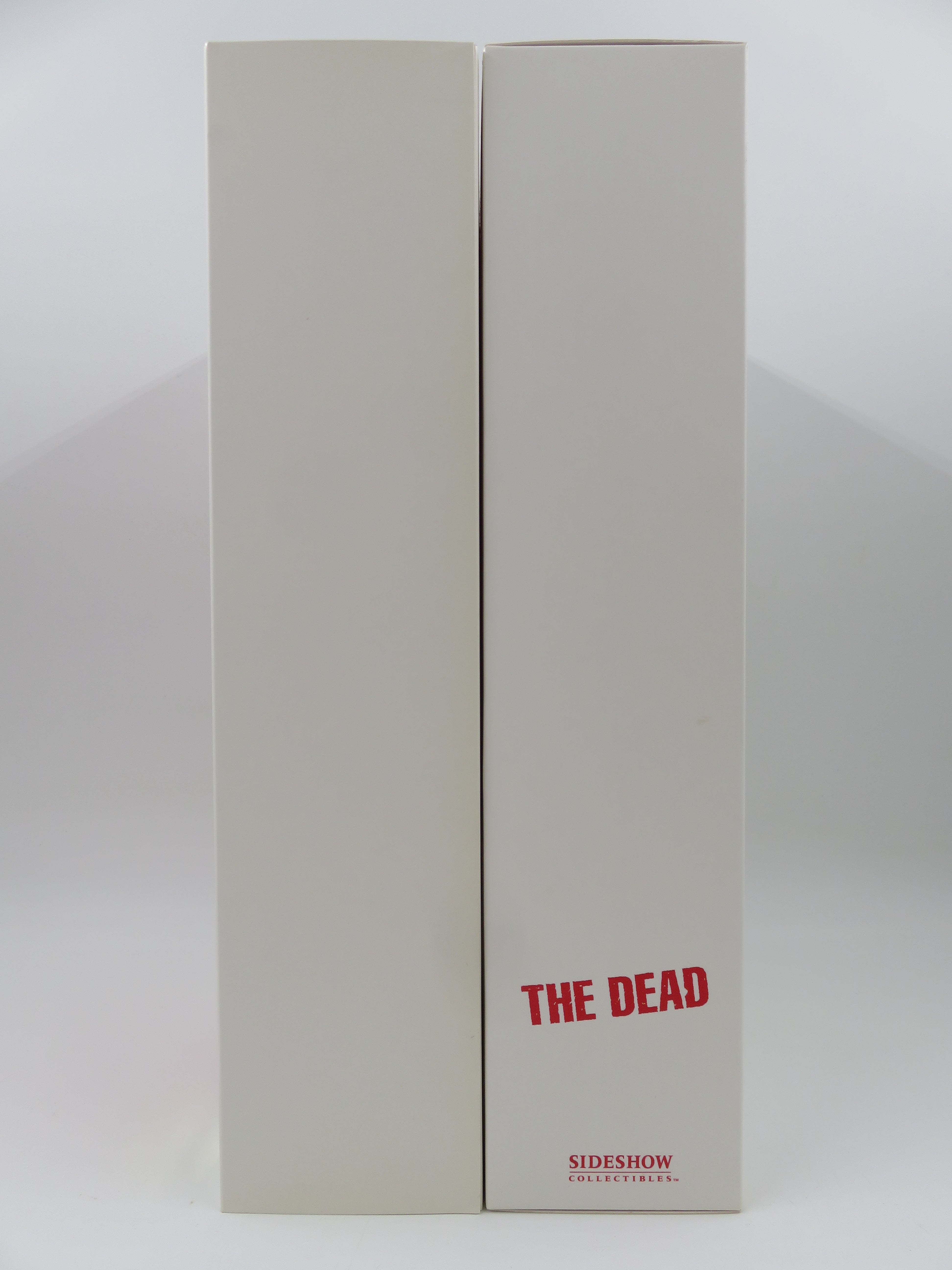 THE DEAD Subject 138 The Street Prophet Exclusive Figure - Sideshow Collectibles (2008) Horror Collectible