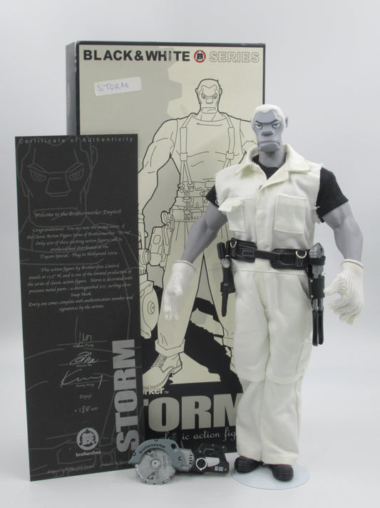 BROTHERSWORKER Storm Black & White Series Figure - Hot Toys (2004) Limited Edition Art Toy