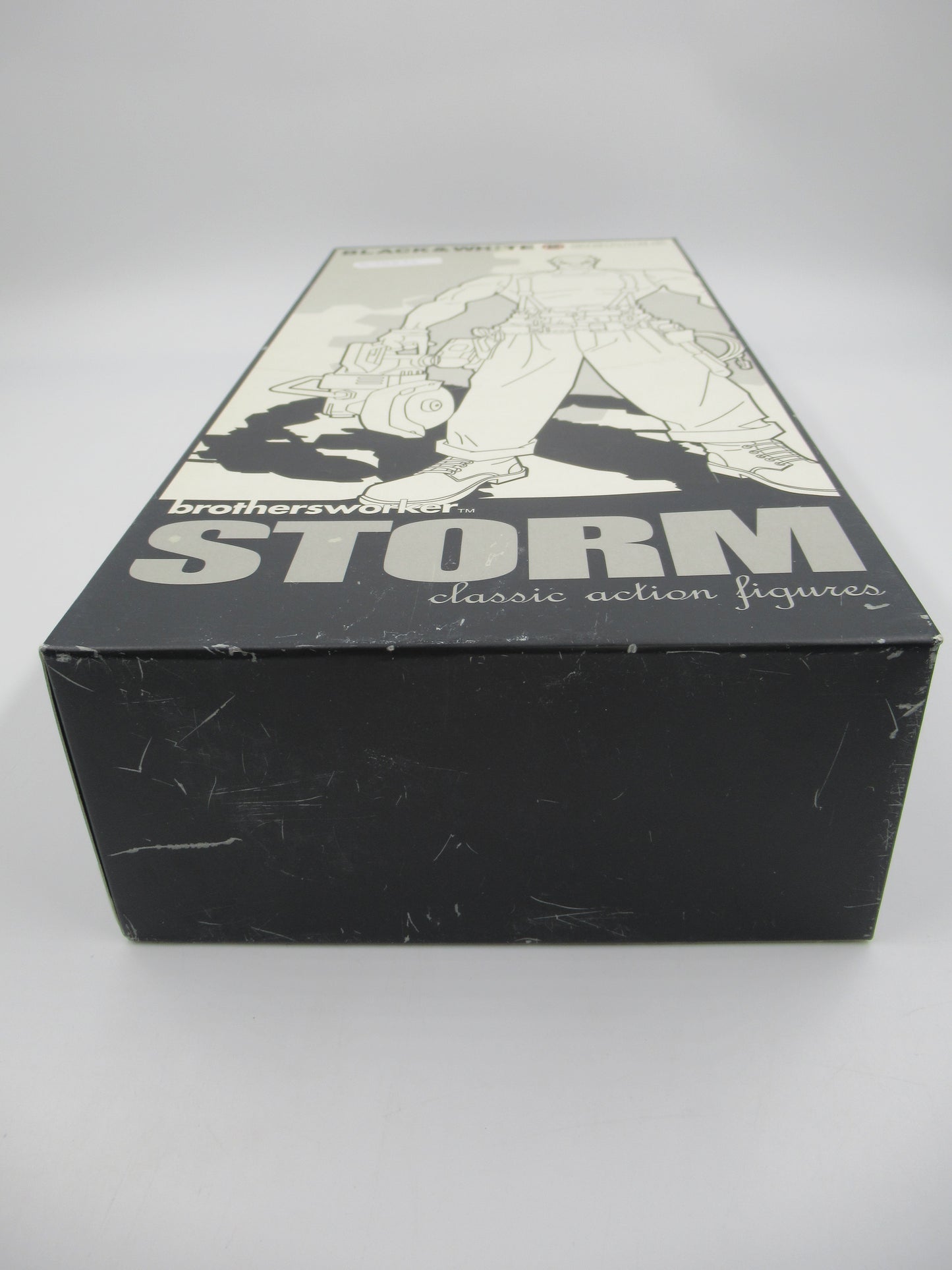 BROTHERSWORKER Storm Black & White Series Figure - Hot Toys (2004) Limited Edition Art Toy