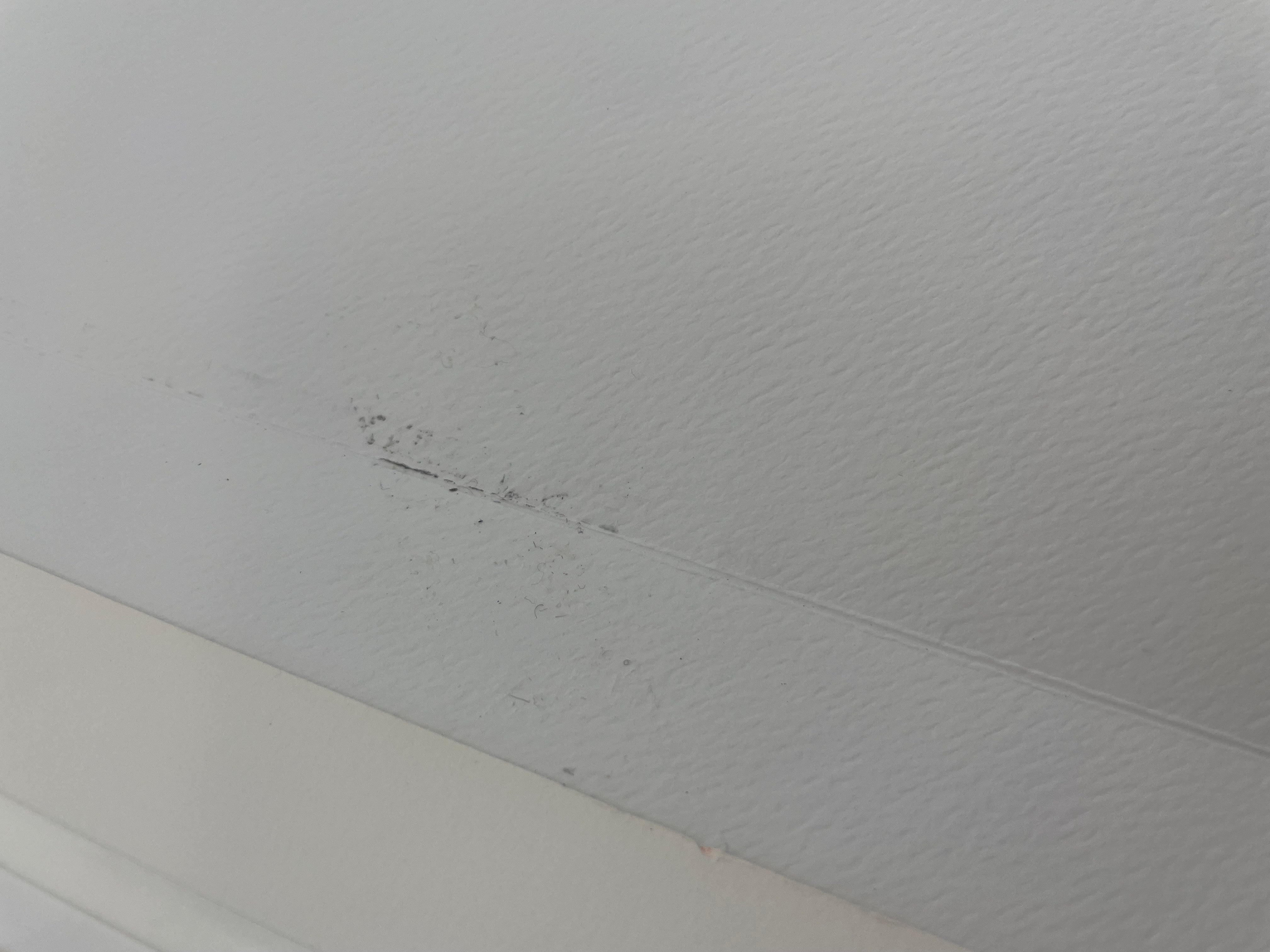 HEAVY METAL Taarna in Robes (1981) Framed Original Guardian Trust Film Production Art